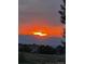 Striking backyard view featuring an orange sunset over mountains and trees at 10258 Pennington Ln, Highlands Ranch, CO 80126