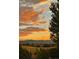 Scenic backyard view with vibrant sunset and mountains, partially obscured by a tree at 10258 Pennington Ln, Highlands Ranch, CO 80126