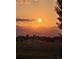 Stunning backyard view of a sunset over the mountains and a treed landscape at 10258 Pennington Ln, Highlands Ranch, CO 80126