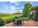 Charming patio with a dining table and umbrella, overlooking the beautifully landscaped backyard at 10258 Pennington Ln, Highlands Ranch, CO 80126