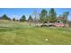 Expansive grassy backyard with mature trees, perfect for outdoor activities at 23312 E Chestnut Pl, Aurora, CO 80016