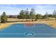Community basketball court with recreational space for basketball games and sports activities at 16135 Rock Crystal Dr, Parker, CO 80134