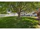 Lush backyard featuring a large tree offering shade, green grass, and white fence at 1211 S Zuni St, Denver, CO 80223