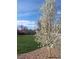 Beautifully landscaped backyard with lush green lawn and a flowering tree in full bloom at 8455 W Belmar Ave, Lakewood, CO 80226