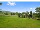 Expansive backyard featuring lush green grass, mature trees, and mountain views at 9 Red Fox Ln, Littleton, CO 80127