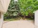Lush backyard featuring mature trees, a concrete patio, and green landscaping at 10951 Rosalie Dr, Northglenn, CO 80233