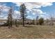 The grassy backyard features a wooden fence, mature trees and is nestled in a mountainous landscape at 11033 Barker Ave, Conifer, CO 80433