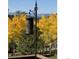 Backyard view of mature aspen trees in the fall from the deck, featuring a decorative bird feeder at 11033 Barker Ave, Conifer, CO 80433