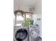 Laundry room with Samsung washer and dryer, and lots of plants at 103 S Park Ave, Fort Lupton, CO 80621