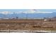 View of agricultural land with distant mountains at 10691 County Road 23, Fort Lupton, CO 80621