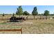 Idyllic rural property featuring mature trees, a wooden fence, and a vintage carriage at 10691 County Road 23, Fort Lupton, CO 80621