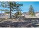 Lush backyard with mature trees, a white fence, and a peaceful gathering of deer at 335 Jefferson St, Monument, CO 80132