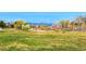 Lush, open green space, surrounded by trees and vegetation, ideal for outdoor activities at 2574 Cove Creek Ct, Highlands Ranch, CO 80129