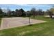 Outdoor basketball court with well maintained surface and hoops, perfect for sports and recreation at 8380 Blackgum St, Parker, CO 80134