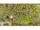 A scenic aerial shot of a cabin surrounded by lush green trees at 154 Apache Rd, Evergreen, CO 80439