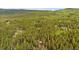 A scenic aerial shot of a remote cabin surrounded by lush green trees and mountain views at 154 Apache Rd, Evergreen, CO 80439