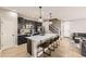 Modern kitchen with dark cabinets, a large island, and stainless steel appliances at 10246 Tall Oaks Cir, Parker, CO 80134