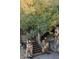 Wooden stairs leading down from a deck, surrounded by trees with fall colors at 187 Fox Ridge Dr, Evergreen, CO 80439