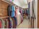 Large walk-in closet with ample shelving and hanging space at 187 Fox Ridge Dr, Evergreen, CO 80439