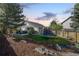 Large backyard with trampoline, patio and well maintained landscaping at 8762 Mourning Dove Ln, Highlands Ranch, CO 80126