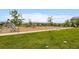 Community park with playground, swings, seating, and green spaces at 9636 Bennett Peak St, Littleton, CO 80125