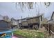 Exterior view of home's backyard with deck, lawn, and storage shed with mature trees in the background at 5550 E 130Th Dr, Thornton, CO 80241