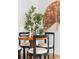 Stylish dining area featuring a round table, four chairs, decorative fan, and a vibrant plant at 2100 N Franklin St # 5, Denver, CO 80205