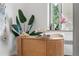 Bright office space with a stylish wooden desk, plants, and natural light from the window at 2100 N Franklin St # 5, Denver, CO 80205