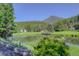 Scenic view of a tranquil pond with lush greenery, stone wall and mountain backdrop at 4241 S Meadow Brook Ln, Evergreen, CO 80439