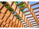 Close up of a new cedar pergola, casting shadows over wooden planks with greenery and sky in the background at 1856 S Monroe St, Denver, CO 80210