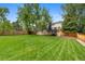 Spacious backyard with lush green grass, mature trees, trampoline, and shed, perfect for outdoor activities at 23 Honey Locust, Littleton, CO 80127