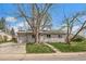 Charming single-story home with a well-maintained front yard and solar panels under the shade of mature trees at 6026 Iris Way, Arvada, CO 80004