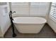 Stunning bathroom showcasing a modern soaking tub and bright natural light at 2162 Terraridge Dr, Highlands Ranch, CO 80126