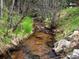 A stream flows peacefully through the backyard at 28272 Shadow Mountain Dr, Conifer, CO 80433