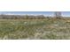 Expansive grassy backyard, perfect for outdoor activities and enjoying nature at 6614 Club Villa Rd, Parker, CO 80134