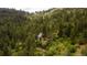 Secluded home with mountain views surrounded by lush trees and greenery at 5425 Us Highway 285, Morrison, CO 80465