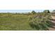 Expansive meadow with a line of trees and a body of water visible in the distance beneath a blue sky at 10064 Owens St, Broomfield, CO 80021