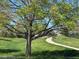 A scenic park pathway winds through lush greenery and mature trees, inviting exploration and peaceful strolls at 10064 Owens St, Broomfield, CO 80021