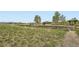 A community parking lot features ample spaces near a grassy field, restrooms and pavilion, set against a mountain backdrop at 10064 Owens St, Broomfield, CO 80021