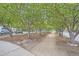 Tree-lined street featuring tall, mature trees forming a canopy over a path and road, with parked cars at 7700 E 29Th Ave # 404, Denver, CO 80238