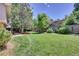 A lush, green backyard featuring a well-maintained lawn and mature trees at 7504 E Jefferson Dr, Denver, CO 80237