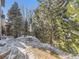 Landscaped backyard with snowy trees and stone patio at 10767 Mountshire Cir, Highlands Ranch, CO 80126