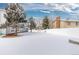 Spacious backyard with a fence, trees, and a patch of grass visible beneath the freshly fallen snow at 1606 S Flanders Way, Aurora, CO 80017