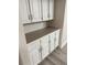 Abundant white storage cabinets with a contrasting countertop, perfect for organization at 8747 Mesquite Row, Lone Tree, CO 80124
