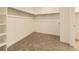 Large carpeted walk-in closet with built-in shelving at 10736 Snowdon St, Parker, CO 80134