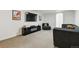 Carpeted basement media room features a black TV and a gray couch at 5390 Rosemary Ln, Denver, CO 80221