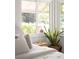 Close-up on a well-lit bedroom corner with a plant, accentuating the bright and airy space at 2680 S Garfield Cir, Denver, CO 80210