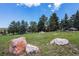 Spacious front yard with a mix of trees, large rocks, and a clear view of the house at 17870 New London Rd, Monument, CO 80132