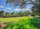 Expansive backyard featuring lush green grass, mature trees, and a charming storage shed at 164 W Acoma Dr, Littleton, CO 80120