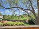 Expansive backyard with mature trees, lush lawn, garden shed, and views of open space, perfect for outdoor enjoyment at 164 W Acoma Dr, Littleton, CO 80120